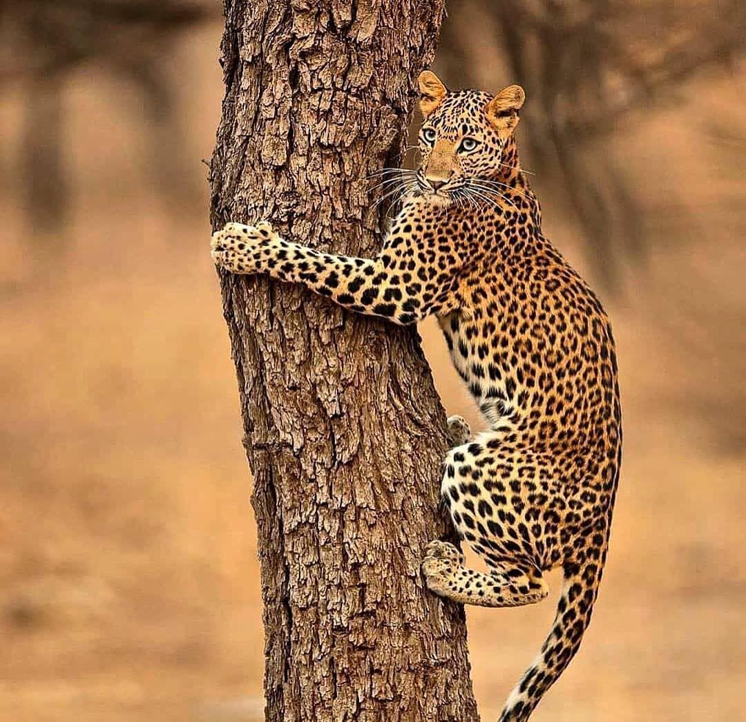 Castlereigh Lake At Hatton