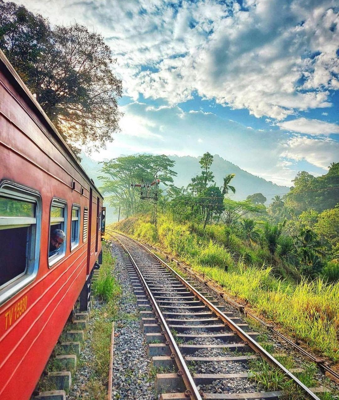 Coconut Tree Hill At Mirissa