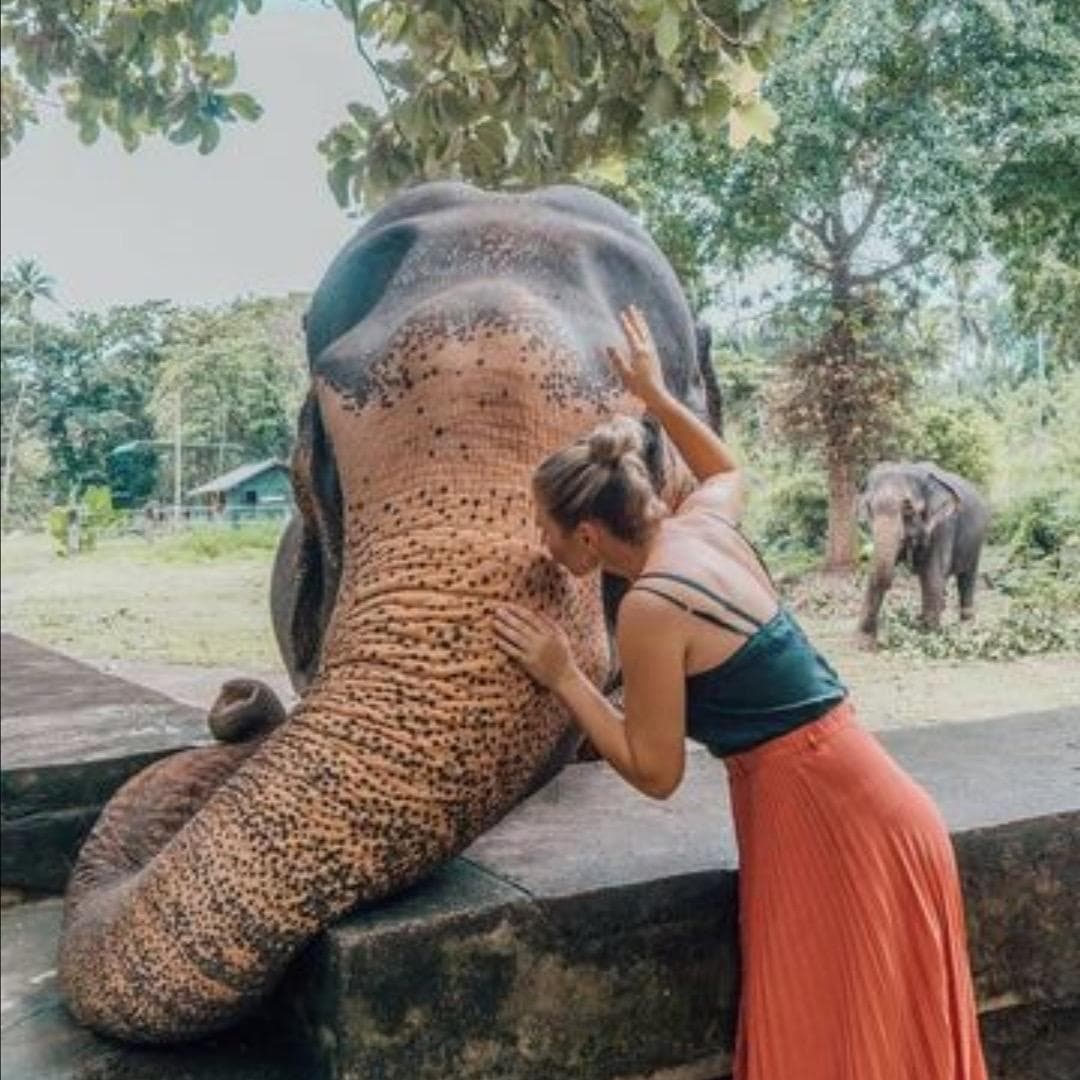 Colombo City Centre Shopping Mall
